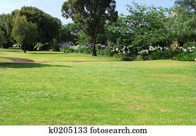 park park