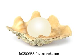 Shell with Orb Shell with Orb