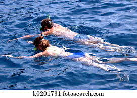 swimming swimming