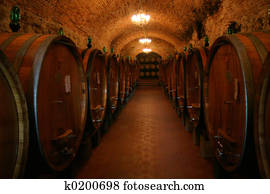 Wine Cellar Wine Cellar