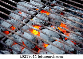 BBQ Grill BBQ Grill