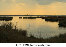 marsh sunset marsh sunset