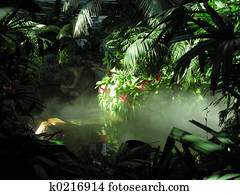 Mock Rainforest Mock Rainforest