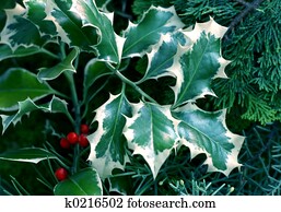 Natural Christmas Background