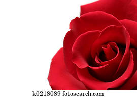 rot stieg rot stieg