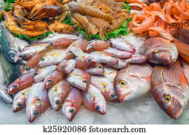 Tasty fish and seafood