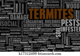 Termites Termites