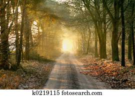 There is light There is light