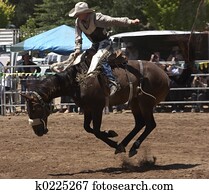 Bucking Horser Bucking Horser