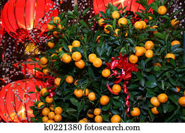 Mandarin Orange Images | Our Top 1000+ Mandarin Orange Stock Photos