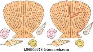 Shell Clipart Royalty Free. 42,738 shell clip art vector EPS