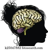 frau, silhouette, gehirn