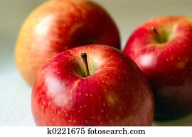 fresh fruit fresh fruit