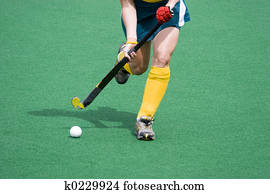 Hockey Hockey
