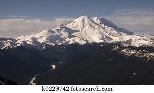 Mount Rainier View