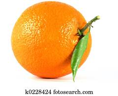 orange orange