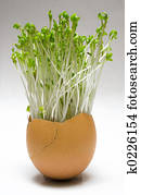 Spring Easter Egg Spring Easter Egg