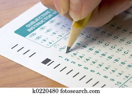 Test Exam Test Exam