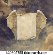 Angel Wings Message Board Angel Wings Message Board