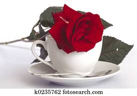 cup and rose