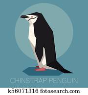 Flat Chinstrap Penguin