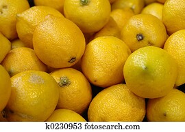 lemon lemon