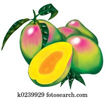 Mango Mango