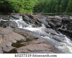 Muskoka Stream