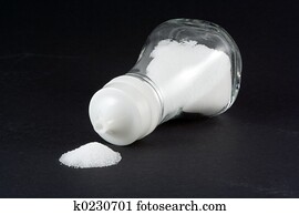 Salt Shaker