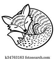 וקטור, הפרד, שועל, לבן שחור