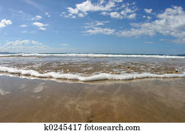 dzeršana uz vietas, noteiktais artikuls, krasts