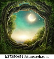 encantado, escuro, floresta