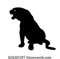 Leopard Leopard