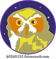 owl owl