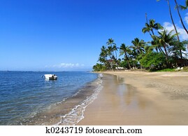Tropical coastline Tropical coastline