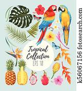 Tropical vector set Tropical vector set