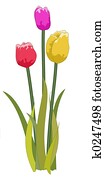 Tulips mixed Tulips mixed