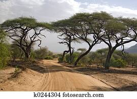 אפריקה, נוף, 005