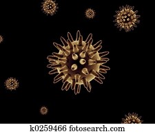 Bacteria Bacteria