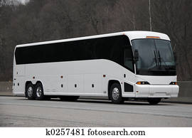 bus bus