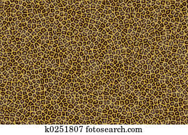 Leopard Fur Leopard Fur