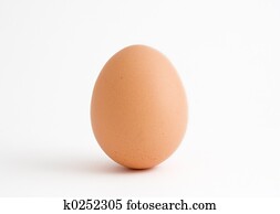 Single egg on white Single egg on white