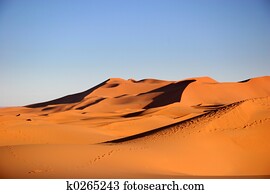 Desert Desert