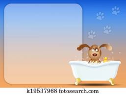 Dog in bathroom for grooming Dog in bathroom for grooming
