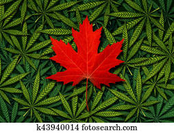 kanadier, marihuana, begriff kanadier, marihuana, begriff