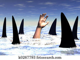Sharks Sharks