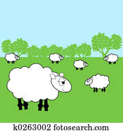 sheep sheep