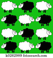 sheep sheep