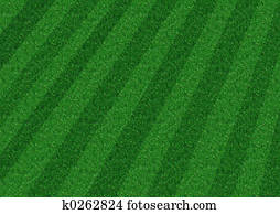 התפשט, מדשאה