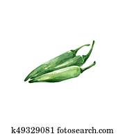 Green Chile Green Chile